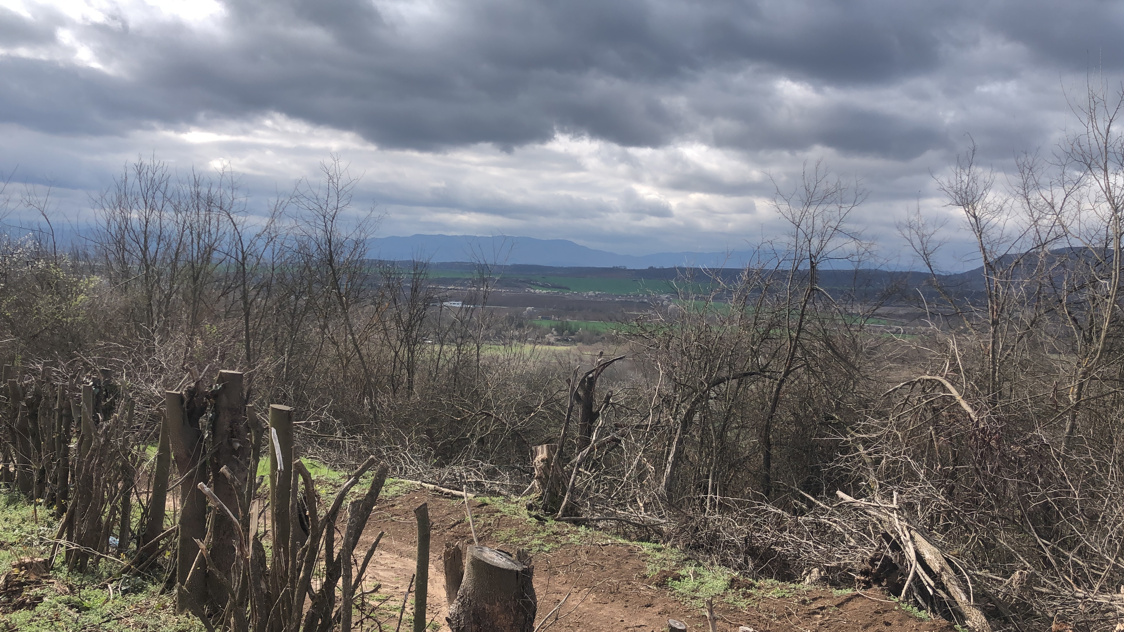 Странен продукт